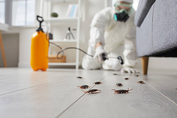 Trusted Cockroach Control service in Cottondale, AL - Nex Pest Control