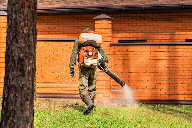 Trusted Bed Bug Control service in Cottondale, AL - Nex Pest Control